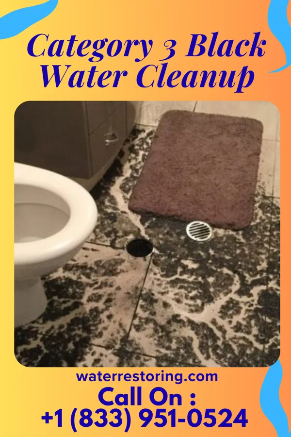 Category 3 Black Water Cleanup in Guttenberg, NJ