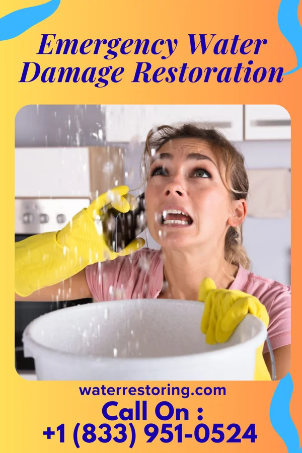 Emergency Water Damage Restoration in Guttenberg, NJ