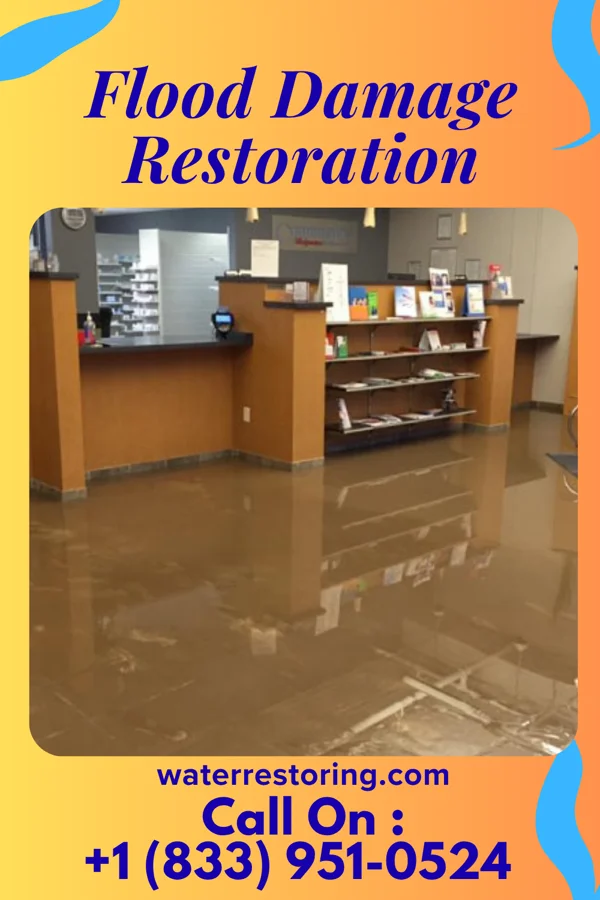 Flood Damage Restoration in Guttenberg, NJ