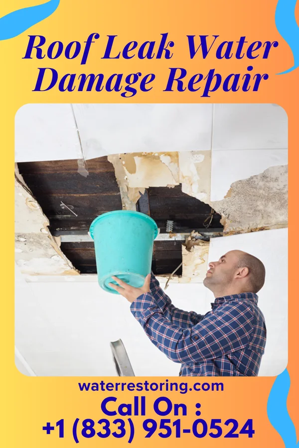 Roof Leak Water Damage Repair in Guttenberg, NJ