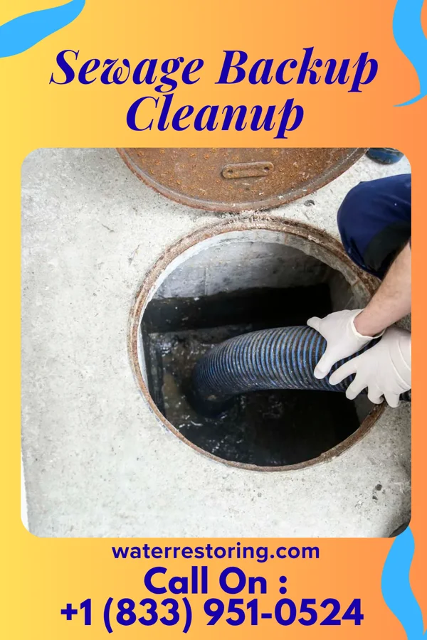 Sewage Backup Cleanup in Guttenberg, NJ