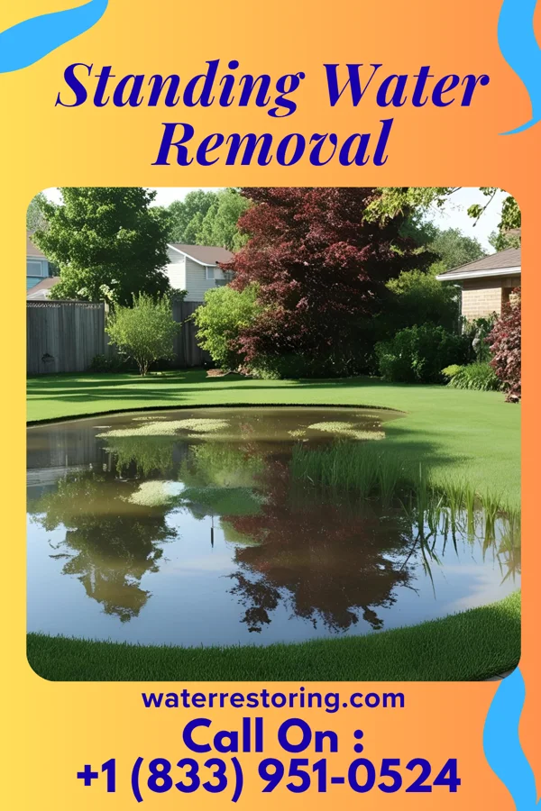 Standing Water Removal in Guttenberg, NJ